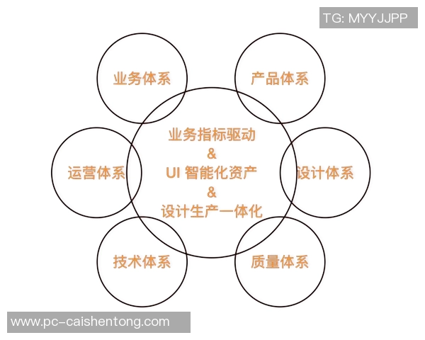 比利时国家足球队的辉煌历程与未来展望分析