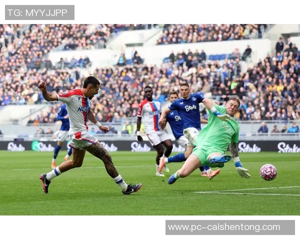 前进鹰Vs勇者之战激发无限潜能的巅峰对决